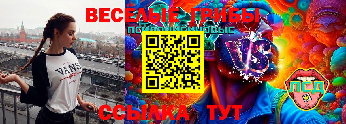 Галлюциногенные грибы мицелий Богородск