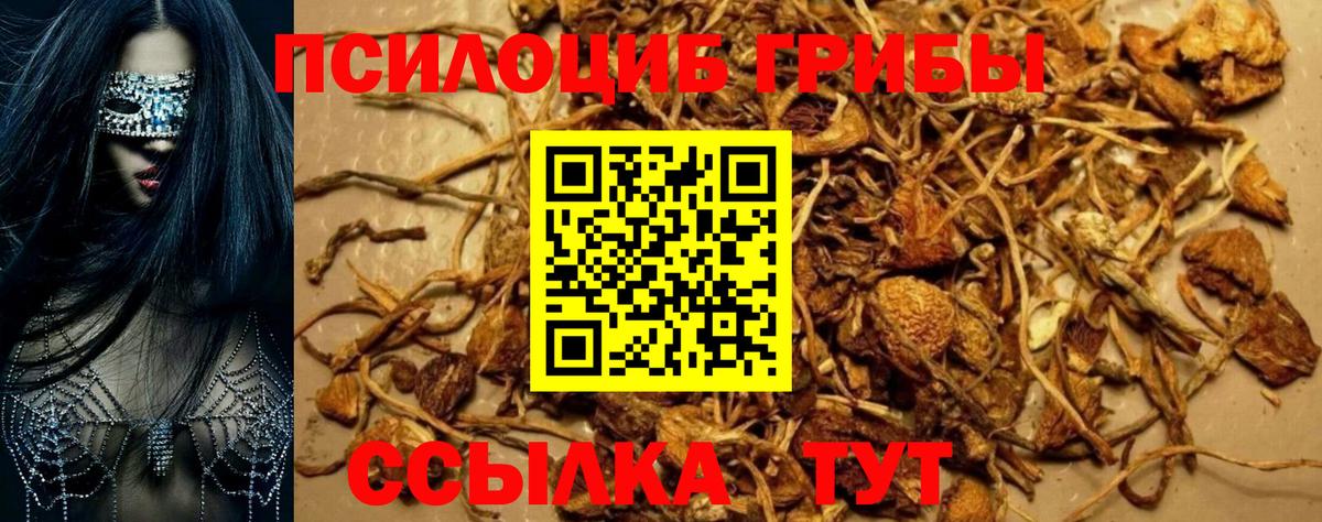 Галлюциногенные грибы прущие грибы  Вход с VPN  Богородск  Галлюциногенные грибы мухоморы 